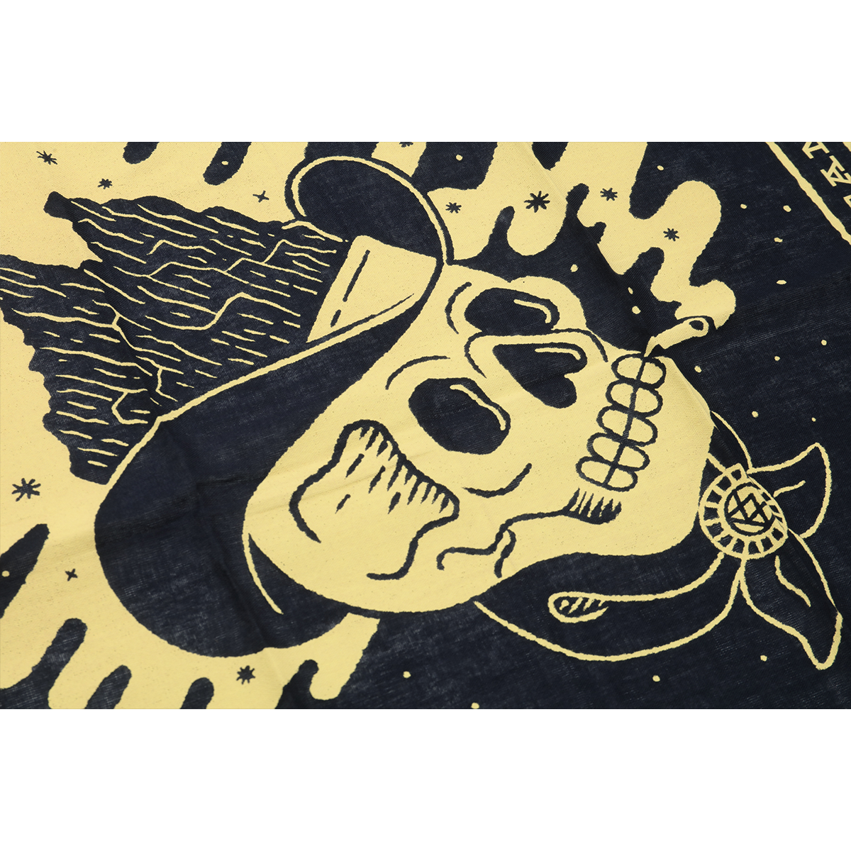 Desert Dreaming Bandana